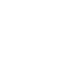 Privacy Policy Icon